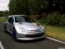 Peugeot Peugeot 206 WRC CONCEPT 